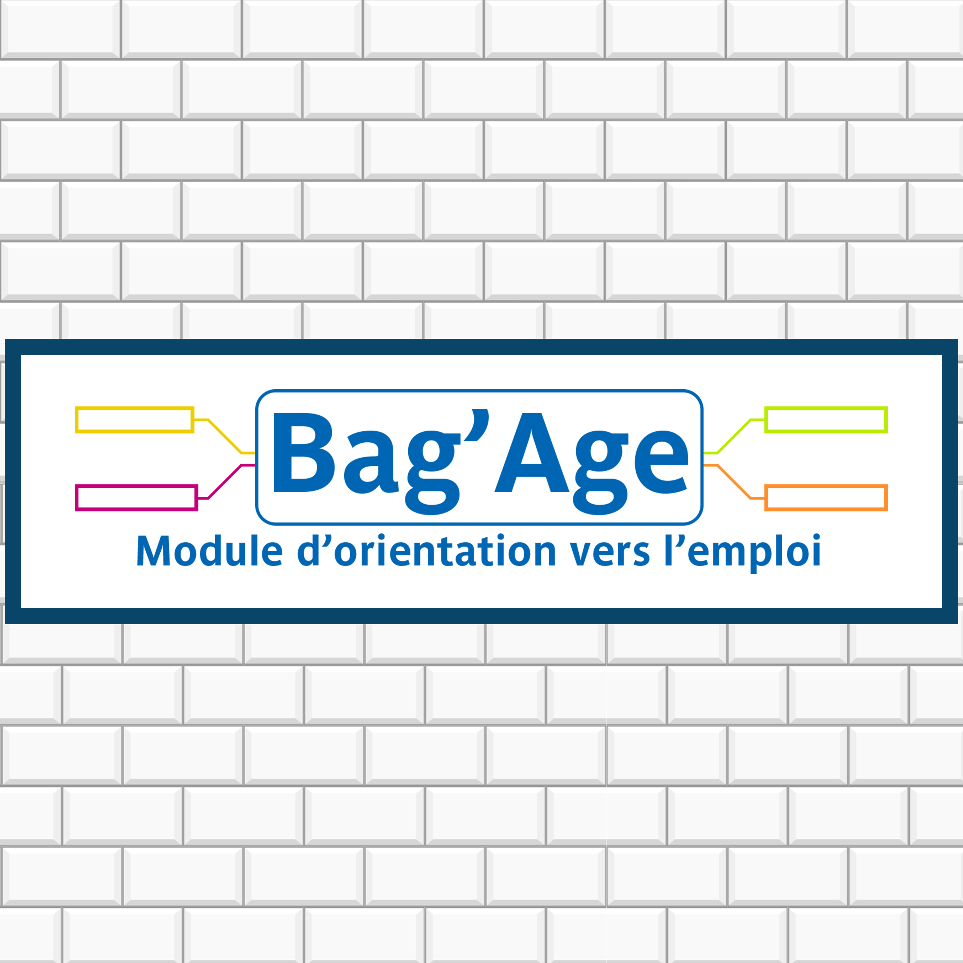 Icone permettant d'accéder à la page réservée au projet BagAge