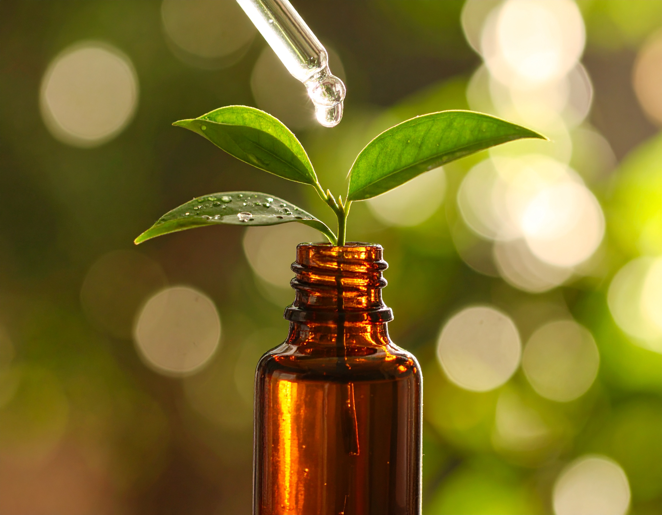 Firefly_PLant growing from essential oil bottle 116142